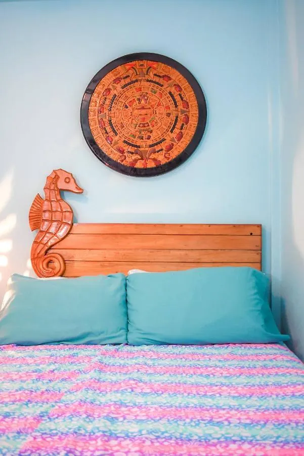 Cancun Guest House 5 0*,  멕시코